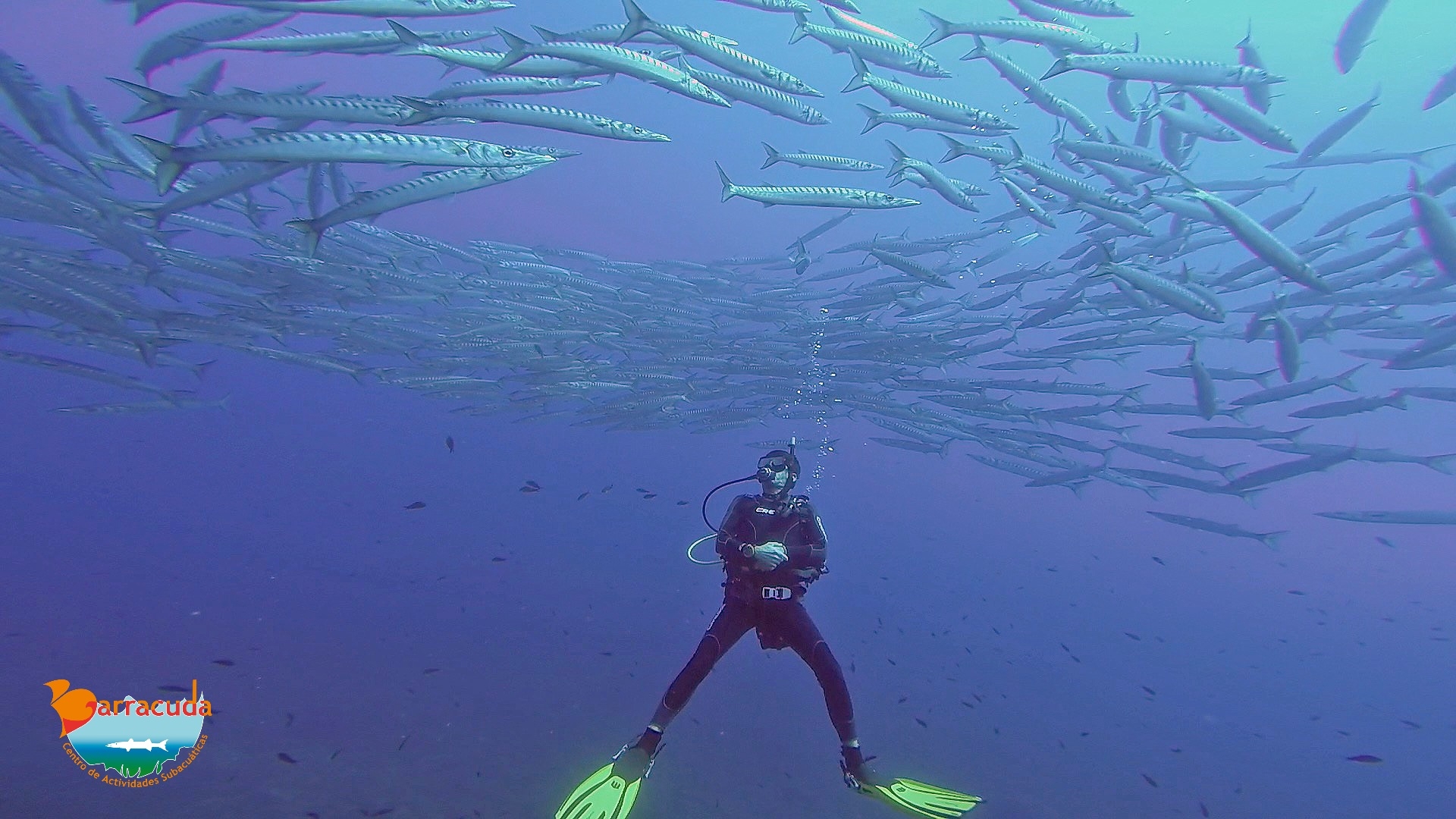 Barracuda Buceo en Oropesa